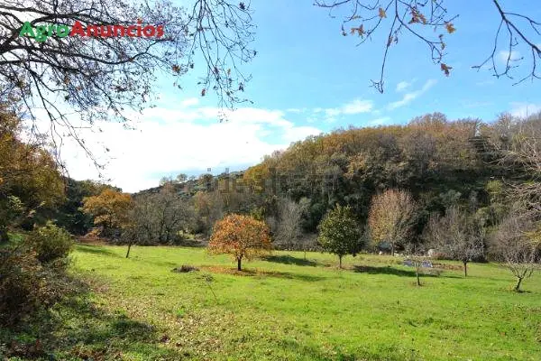 Venta  de Finca de recreo en Cáceres