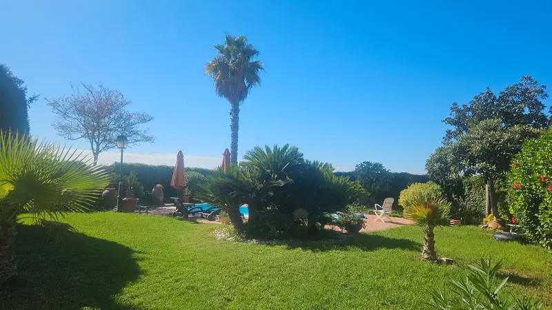 Finca Rural en Venta Vinaros Costa Azahar
