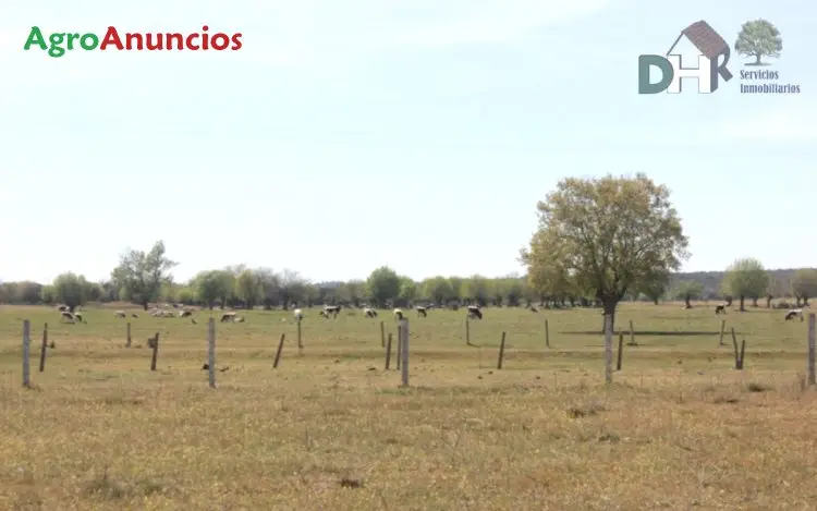 Venta  de Finca ganadera en Salamanca