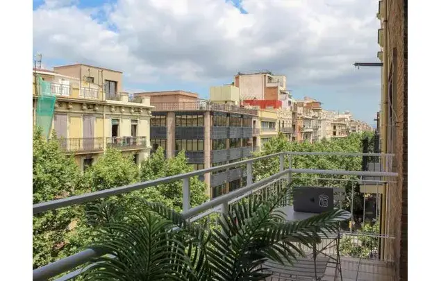 Alquiler Habitacion Barcelona Proceso Online