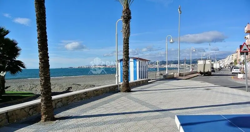 Apartamento Alquiler Largo Plazo Algarrobo Costa Malaga