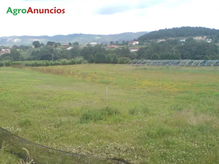 Venta  de Finca de recreo en Pontevedra