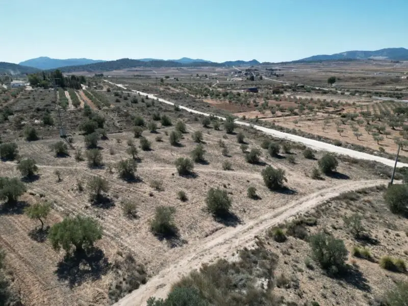 Terreno Agricola 4250m2 Pinoso Alicante Ideal Jardineria Huertos