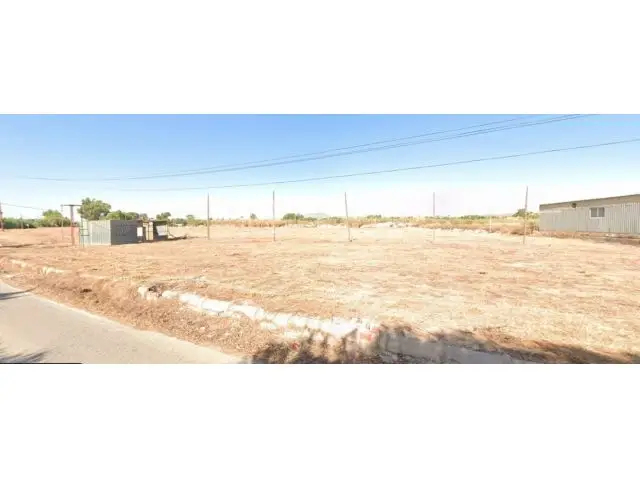 Parcela en Alquiler en Elche 21300m2