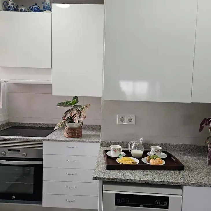 Apartamento en Alquiler Madrid 1 Dormitorio 1 Ba
o
