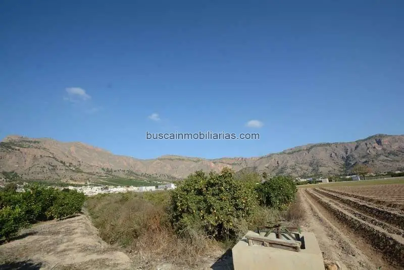 Parcela Rustica en Venta Orihuela 5600m2