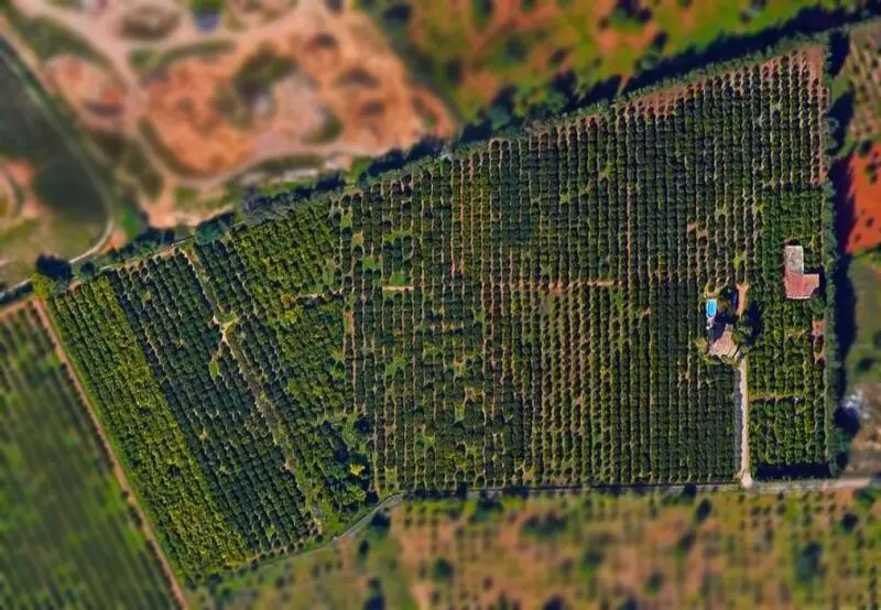 2 Cuarto Casa de Campo en venta
Son Veri (Marratxi), Mallorca