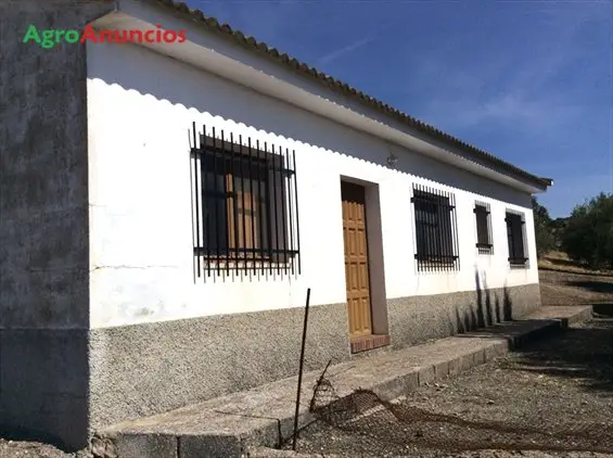 Venta  de Finca de caza con casa en Granada