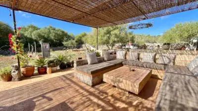 Finca rústica en alquiler en Santa Margalida