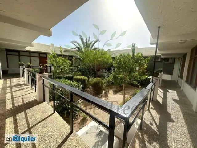 Alquiler Temporada Verano Apartamento San Antonio Ibiza