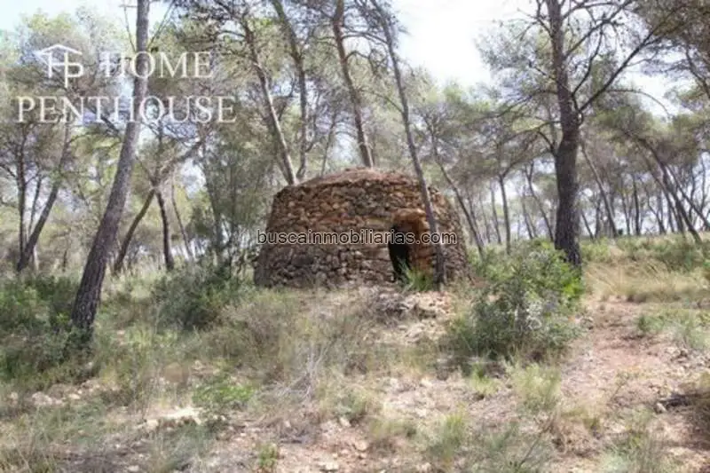 Parcela en venta en Olivella