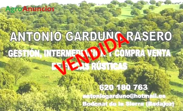 Venta  de Finca ganadera de encinar y pastos en Badajoz