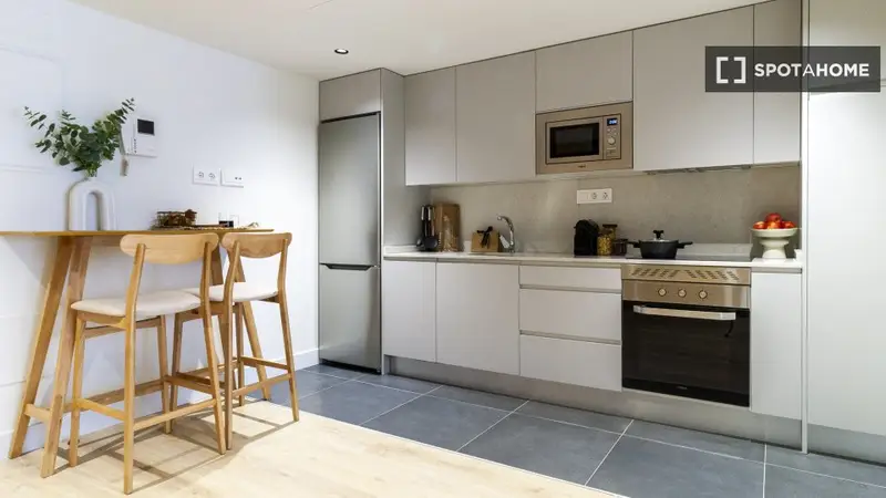 Apartamento 1 Dormitorio Madrid Amueblado