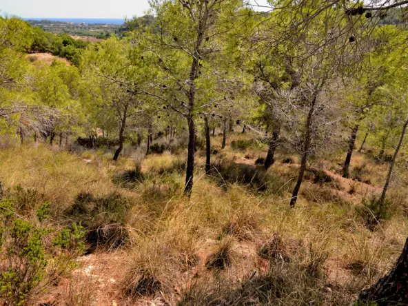 Terreno en Venta Altea con Vistas al Mar