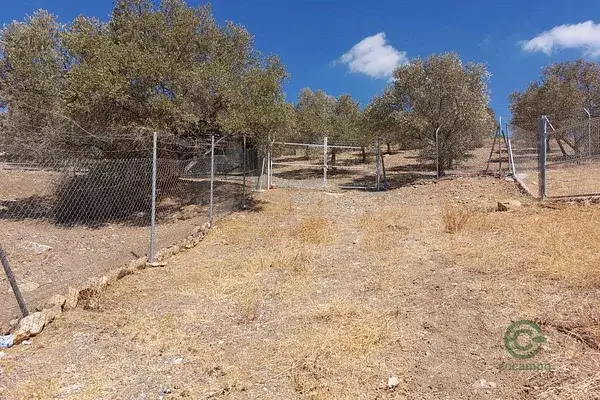 Terreno Rustico en Alora con Vistas Panoramicas y Olivos