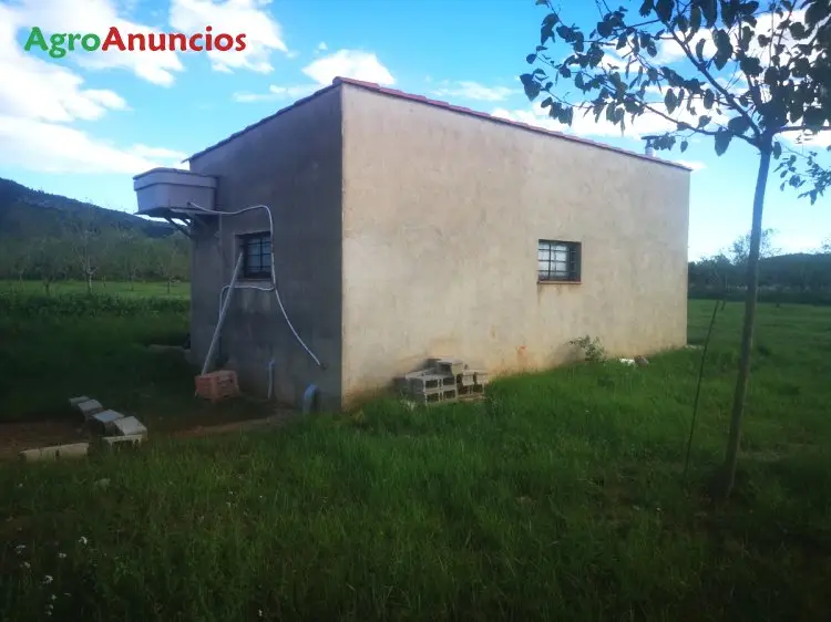 Venta  de Finca de almendros marcona en Tarragona