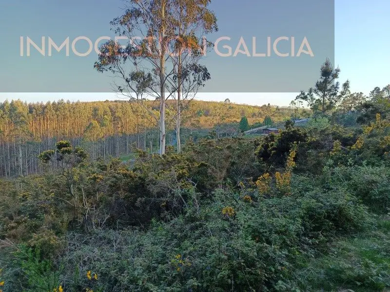 Venta Terreno con Vistas en Cerceda - Ref TER_315