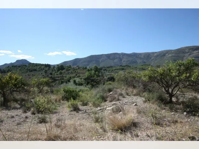Terreno en Venta Murla 25000m2 Vistas Montaña Piscina