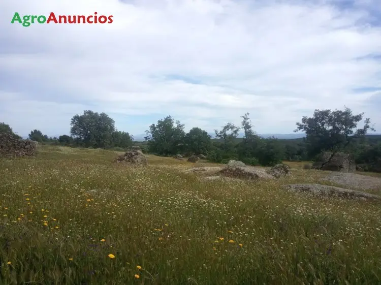 Venta  de Finca de recreo en Cáceres