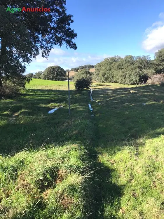 Venta  de Finca rústica en Toledo