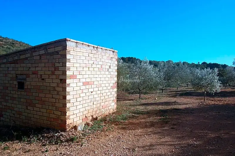 Finca Rustica en El Perello con Olivos