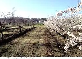 Demanda  de Finca de regadío en Cáceres