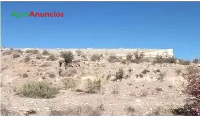 Venta  de Terreno de regadío cercano venta pobre en Almería