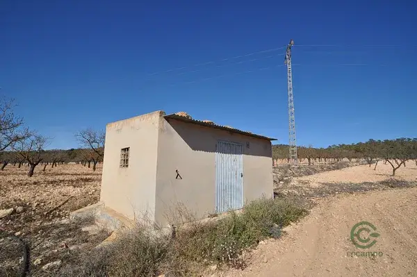 Terreno Agricola con Almendros en Monovar