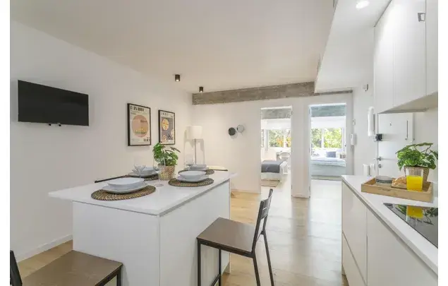 Alquiler Apartamento 5 Dormitorios Alicante Coliving Estudiantes