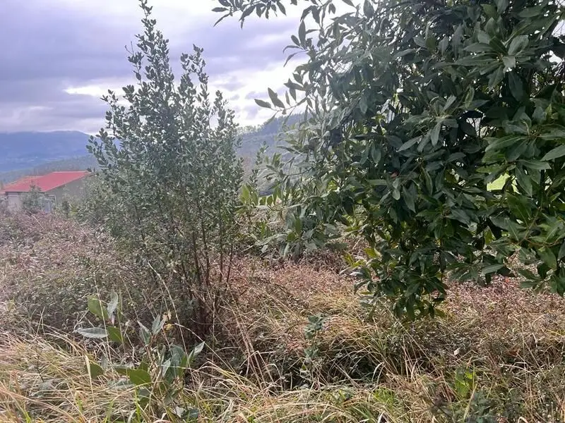 Venta Parcela Villaviciosa - Ref 26230