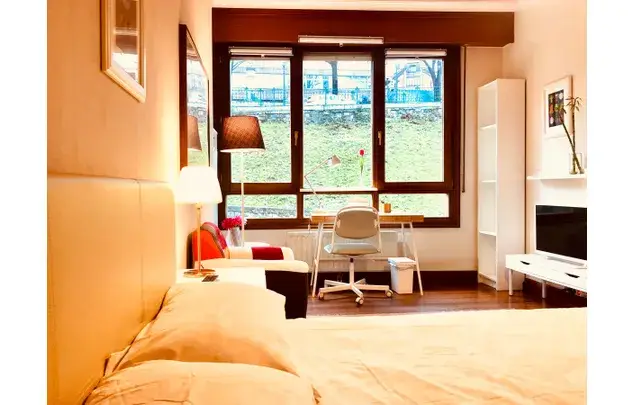 Habitacion 120m2 Bilbao Estancia Media Larga