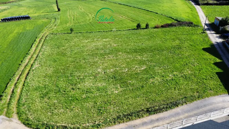 Venta Finca Edificable Villapedre Navia
