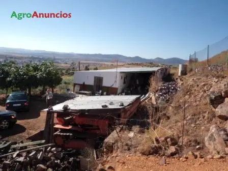 Venta  de Finca con huerto y árboles frutales en Córdoba