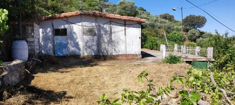 Venta Finca Buenas Vistas Santa Bárbara Plasencia