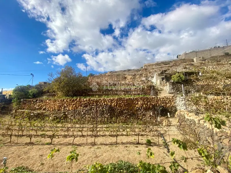 Casa rural en venta en Güímar