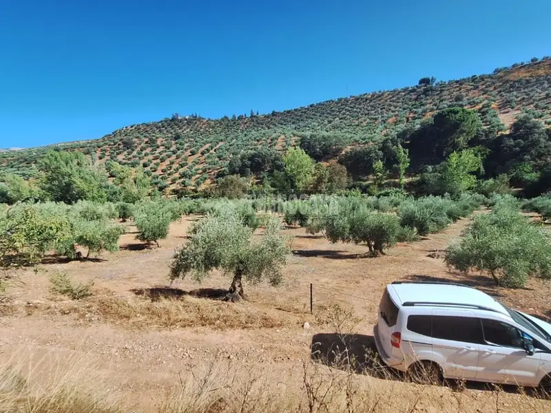 Terrenos en venta en Calicasas