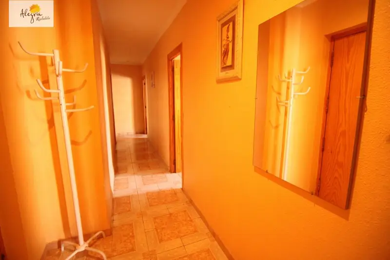 Venta Apartamentos 1 2 3 Dormitorios Torrevieja Nueva Obra