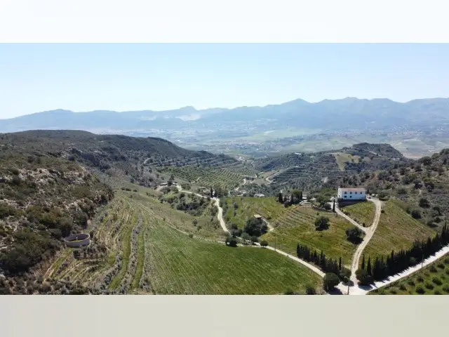 Lagar de Vino en Venta Costa del Sol Sierra Malaga