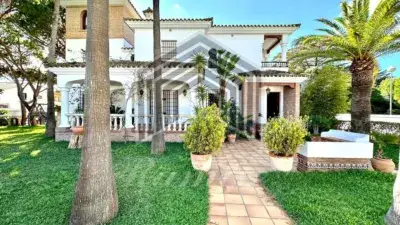 Chalet en Venta La Barrosa 6 Dormitorios Jardin Piscina