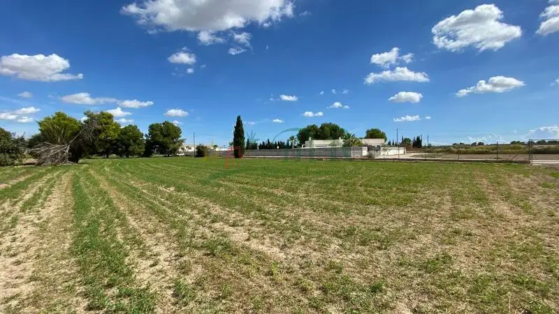 Terreno Rustico en Venta Cox Alicante 10201m2