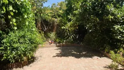 Casa Adosada en Alquiler Hato Verde 4 habitaciones 3 baños