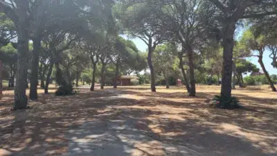 Casa de Campo en Venta La Laguna 6 Dormitorios Piscina