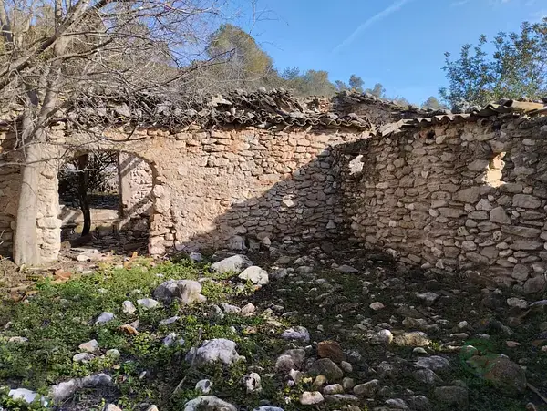 Finca Rustica Vall de Gallinera 19796m2 Corral de Piedra