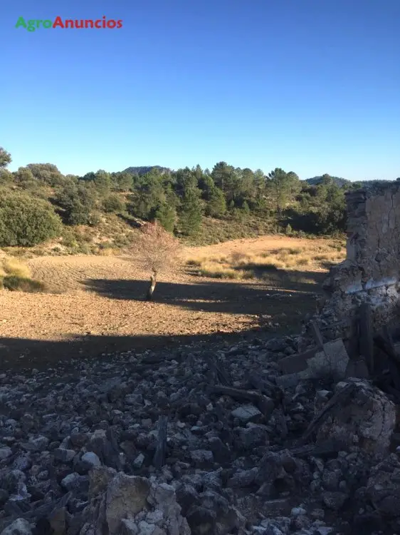 Venta  de Finca de recreo en Albacete