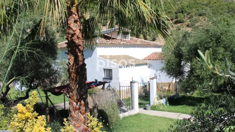 Finca Rustica Ecologica en Venta Zahara de la Sierra