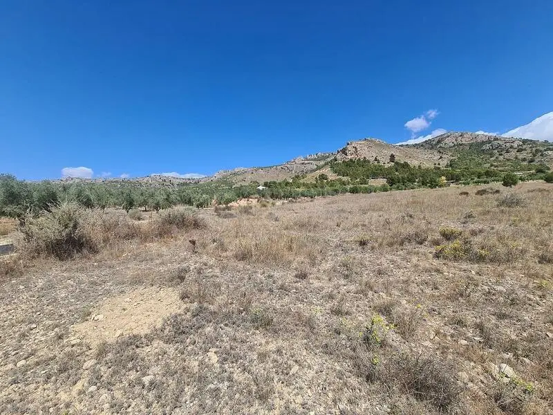 Terreno en Venta Sax Alicante 16200m2 Vistas Montaña
