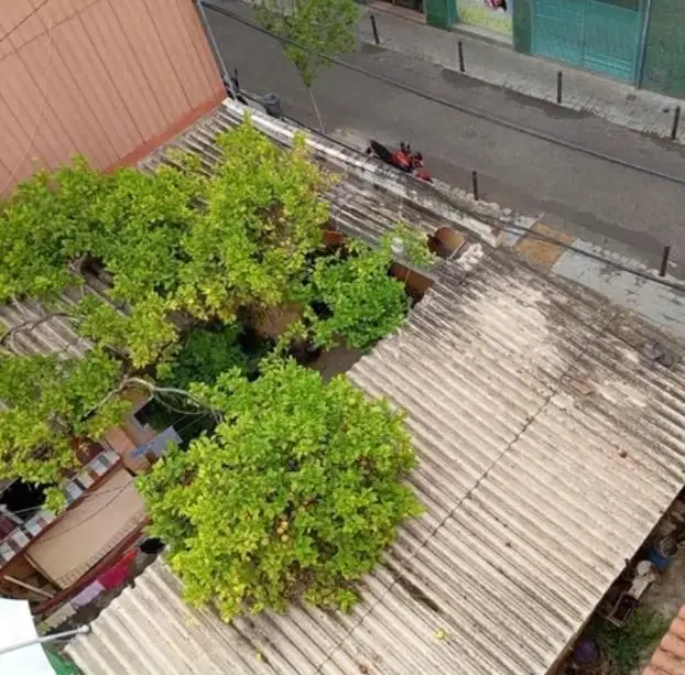 Venta Terreno Edificable Collblanc Hospitalet 462m2