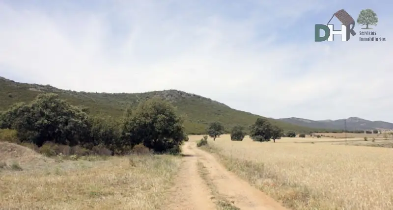 Venta Finca Caza Ciudad Real 320 Has 2 Viviendas Piscina