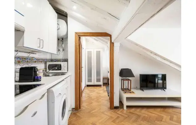 Rent 1 bedroom apartment of 45 m² in Madrid