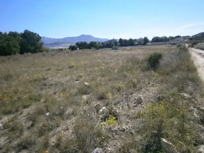Venta Terreno Rustico 10000m2 Salinas